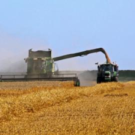 Pandora’s Seed: The Unforeseen Cost of Civilization